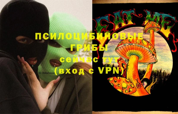 индика Алексеевка