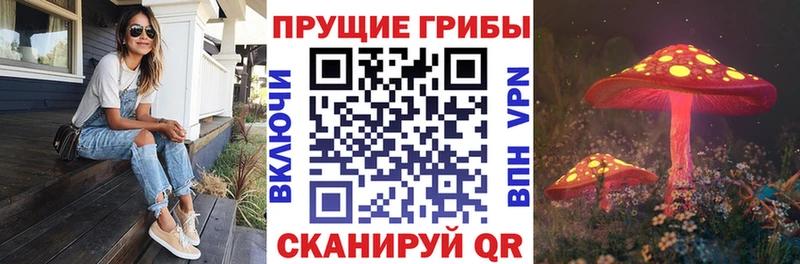 Галлюциногенные грибы Psilocybine cubensis Хвалынск